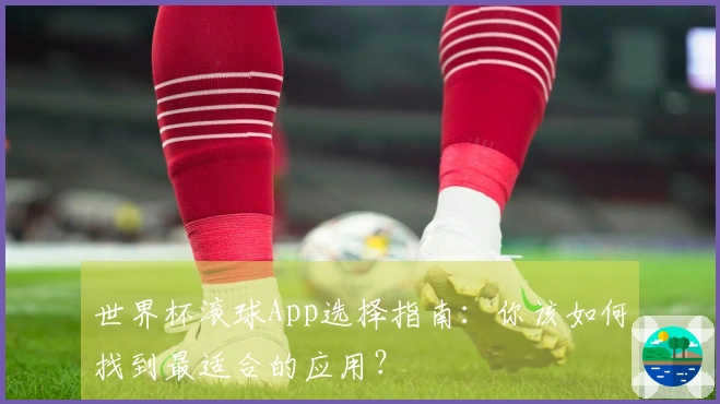 世界杯滚球App选择指南：你该如何找到最适合的应用？