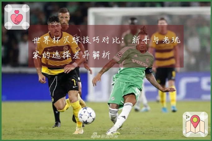 世界杯买球技巧对比：新手与老玩家的选择差异解析