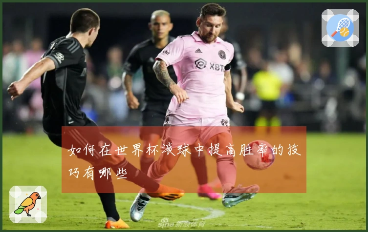 如何在世界杯滚球中提高胜率的技巧有哪些