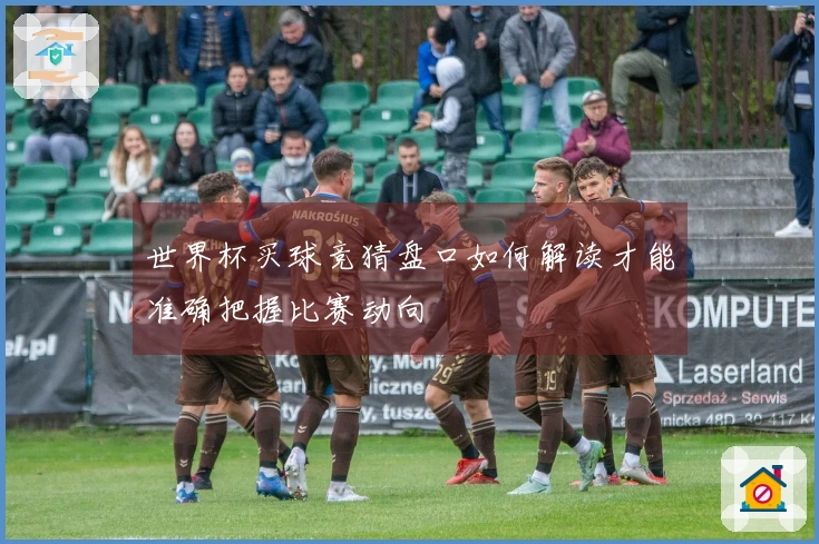 世界杯买球竞猜盘口如何解读才能准确把握比赛动向